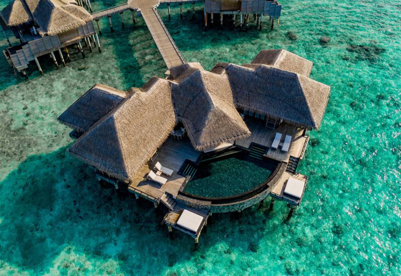 Maldives Honeymoon Packages: Making Your Dream Escape Reality